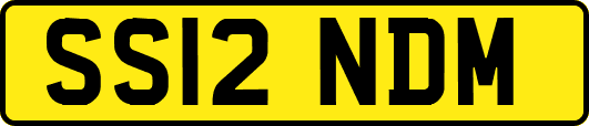 SS12NDM