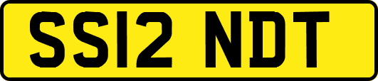 SS12NDT