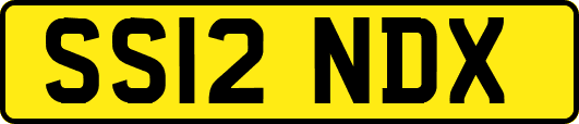 SS12NDX