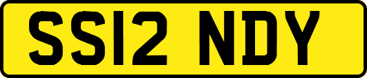 SS12NDY