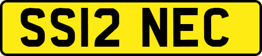 SS12NEC
