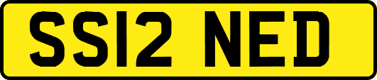 SS12NED