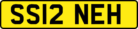 SS12NEH