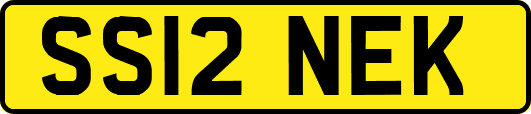 SS12NEK