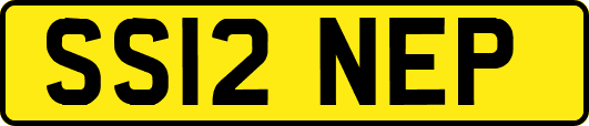 SS12NEP
