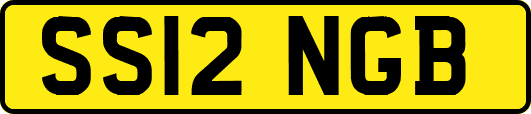SS12NGB