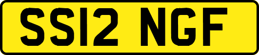 SS12NGF
