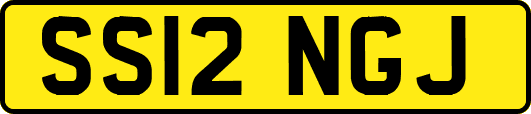 SS12NGJ