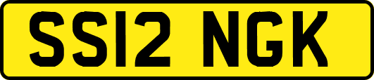 SS12NGK