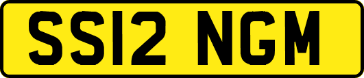 SS12NGM