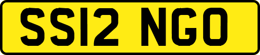 SS12NGO