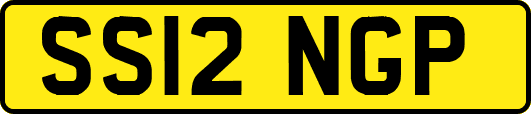 SS12NGP