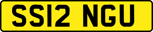 SS12NGU