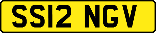 SS12NGV
