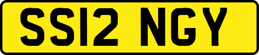 SS12NGY