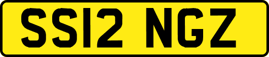 SS12NGZ