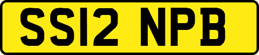 SS12NPB