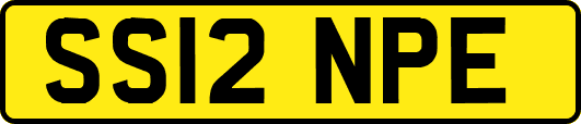 SS12NPE