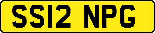SS12NPG