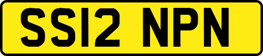 SS12NPN