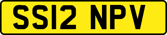 SS12NPV