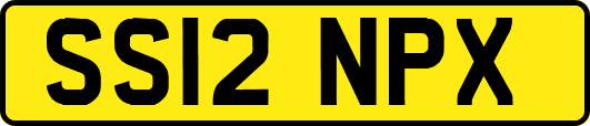 SS12NPX
