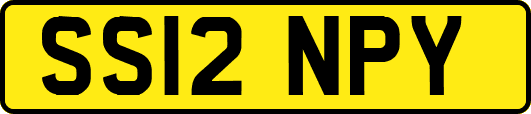 SS12NPY