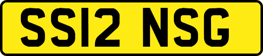 SS12NSG