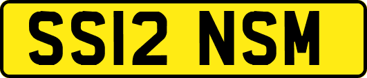 SS12NSM