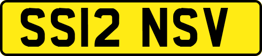 SS12NSV