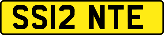 SS12NTE