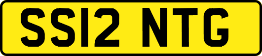 SS12NTG