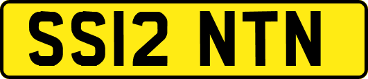 SS12NTN