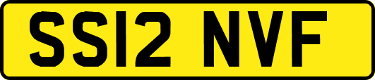 SS12NVF