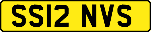 SS12NVS