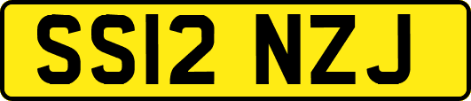 SS12NZJ