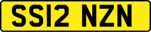 SS12NZN