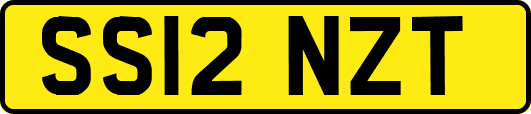 SS12NZT
