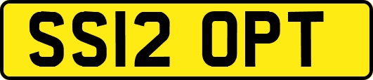 SS12OPT