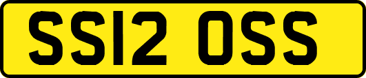 SS12OSS