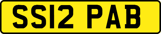 SS12PAB