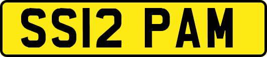 SS12PAM