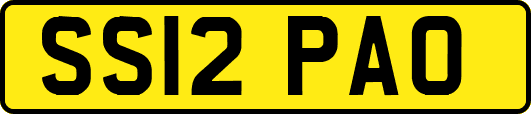 SS12PAO