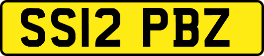SS12PBZ