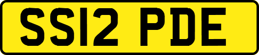SS12PDE