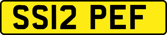 SS12PEF