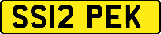 SS12PEK