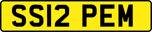 SS12PEM