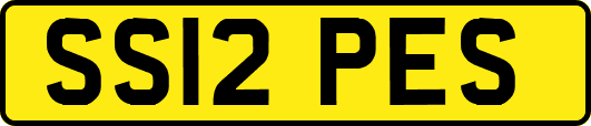 SS12PES