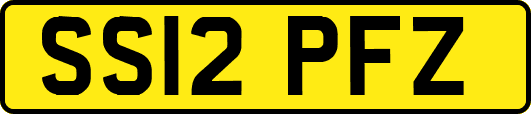 SS12PFZ